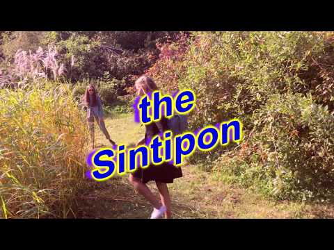 the Sintipon