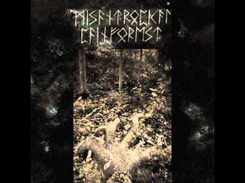 Misantropical Painforest - The Center Remains Frozen