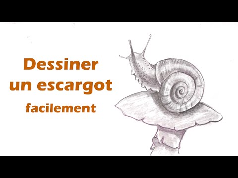 comment dessiner un escargot etape par etape