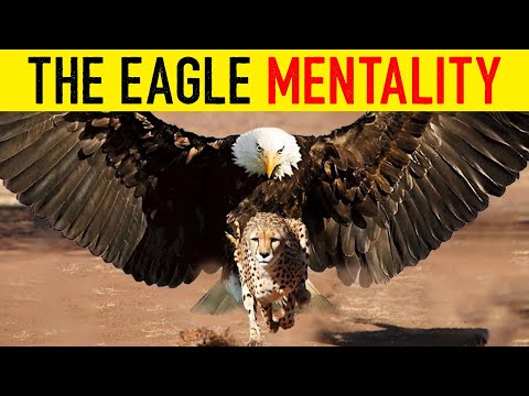 Make Your Attitude Like This - The Eagle Mentality | Best Motivational Video | Inspirational Video