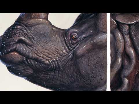 Walton Ford on Naturalia, A New Show from Sotheby’s & Paul Kasmin Gallery