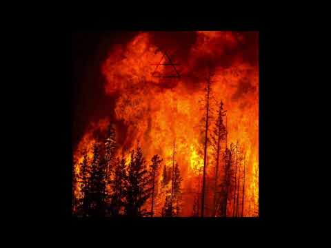 Davide Ricci - Misty Forest [Eklero]