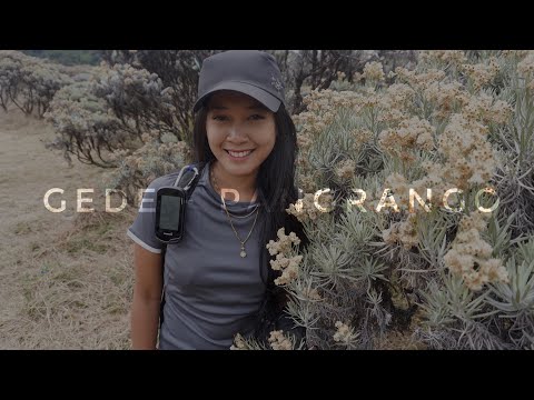 download lagu mp3 mp4 Cara Naik Gunung Gede Pangrango, download lagu Cara Naik Gunung Gede Pangrango gratis, unduh video klip Cara Naik Gunung Gede Pangrango
