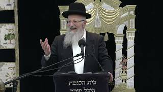 עליות וירידות בגאולת ישראל | הרב שמואל אליהו | קול צופייך לפרשת ויצא תשפ"ה (הרב שמואל אליהו) - התמונה מוצגת ישירות מתוך אתר האינטרנט יוטיוב. זכויות היוצרים בתמונה שייכות ליוצרה. קישור קרדיט למקור התוכן נמצא בתוך דף הסרטון