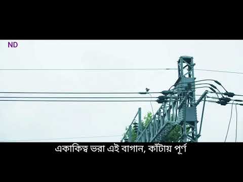 BTS The Truth Untold ft. Steve Aoki [FMV] with Bangla subtitles