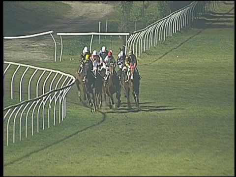 Galoppo 28/01/2017 - 5ª corsa