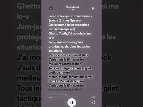 lyric pistole et z&rsquo;male stick de (ziak)