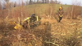 MULČENJE ZARAŠČENEGA TERENA. 051330862