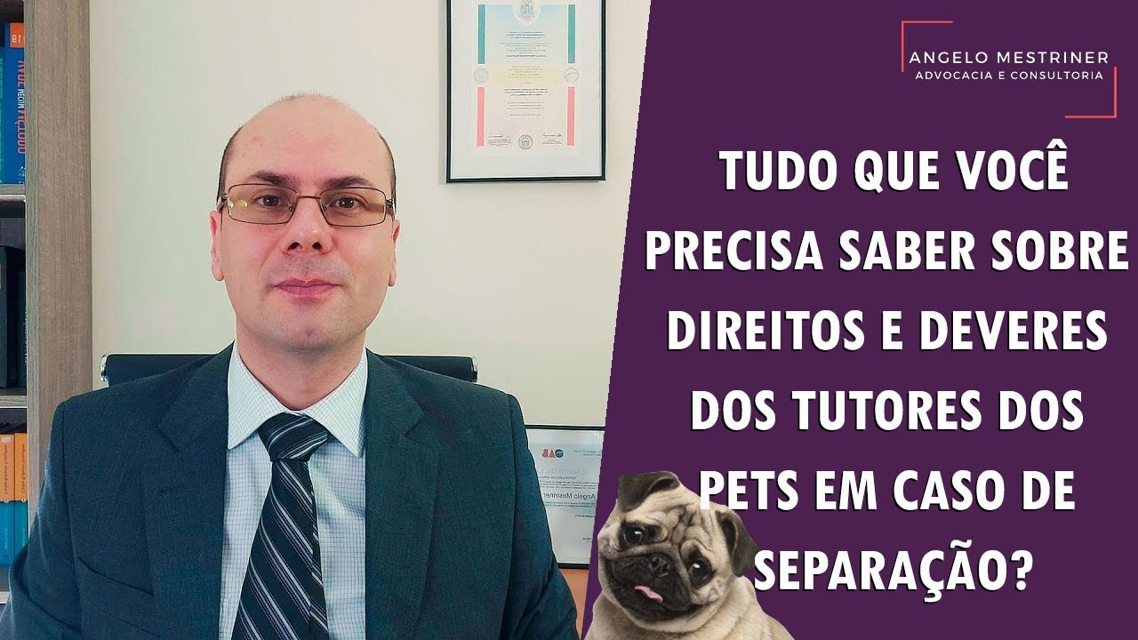 ANIMAL DE ESTIMAÇÃO (PET) | DIREITOS E DEVERES EM CASO DE SEPARAÇÃO DO CASAL