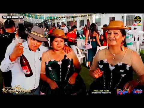 Grupo Expreso En vivo 2026 Mix exitos completos En La Paz Sud Yungas Palos Blancos Bolivia 🇧🇴