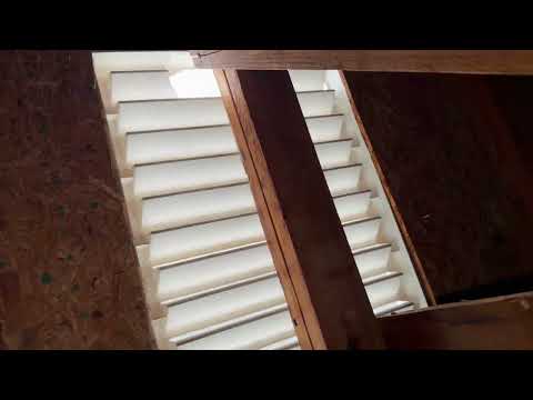 Attic Filled with Bat Guano in Manalapan, NJ