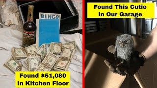 People Finding Unexpected Things In Random Places