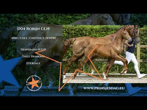 D04 Robijn GLN (Desperado x Daily Diamond x Everdale)