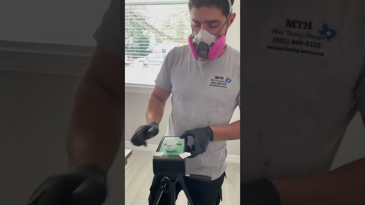 Mold Testing Houston