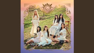 Download lagu A Starry Sky mp3