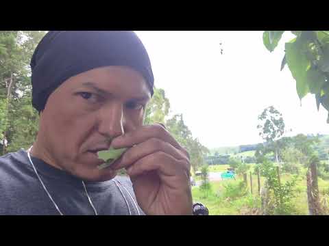 Cidade Santa Rita de Caldas  Minas Gerais 