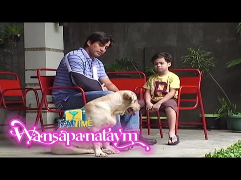 Wansapanataym: Doggy, Daddy, Doggy Full Episode YeY Superview