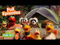 Elmo S Animal Adventures ️ 2 HOURS Of Sesame Street Full Episodes