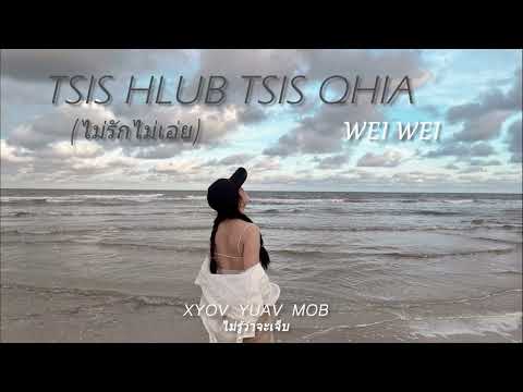 Tsis hlub tsis qhia by WeiWei ［Official Audio］
