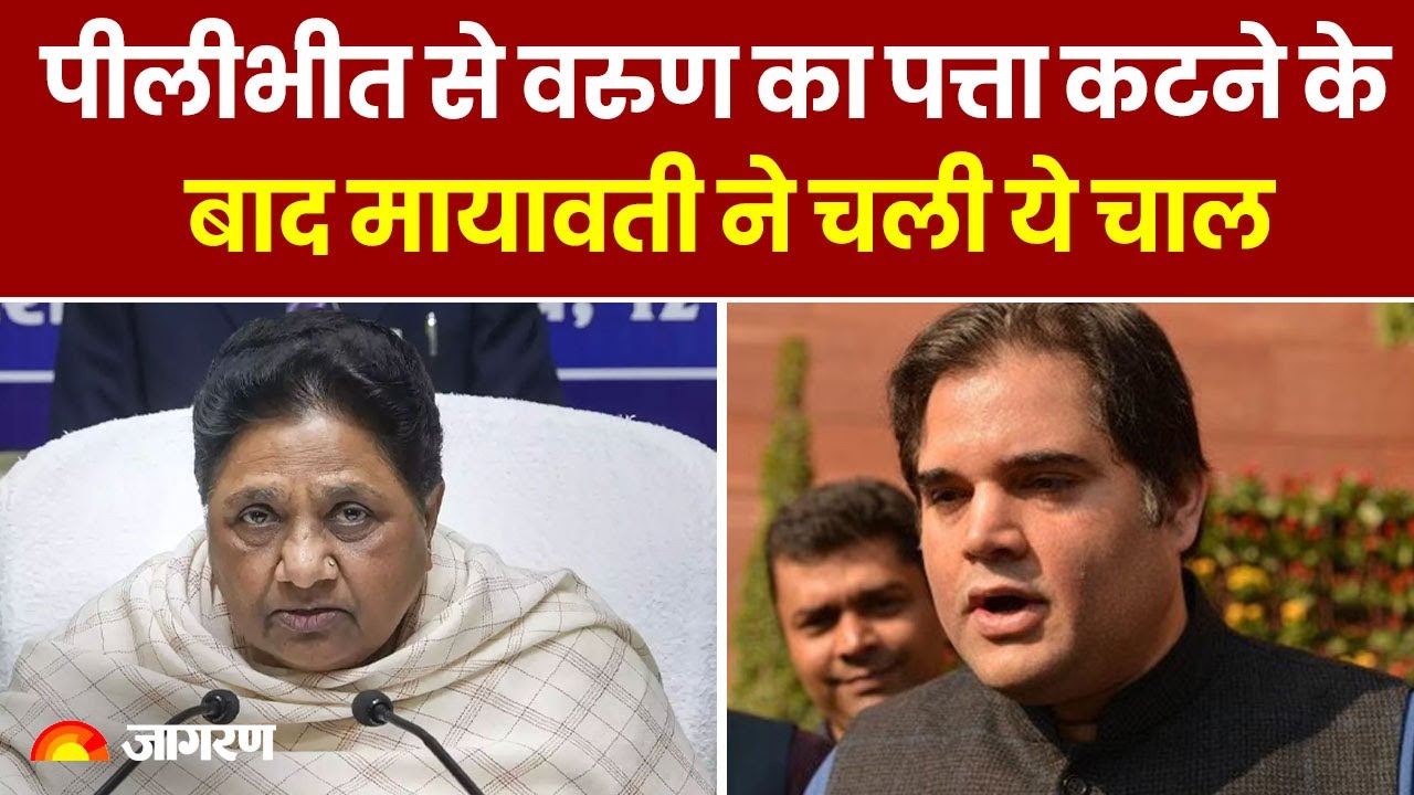 Loksabha Election 2024: पीलीभीत से वरुण का पत्ता कटने के बाद मायावती ने चली ये चाल, hindi news, latest news, dainik jagran