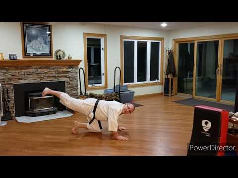 Home Shotokan Karate Training - January 27th 2021