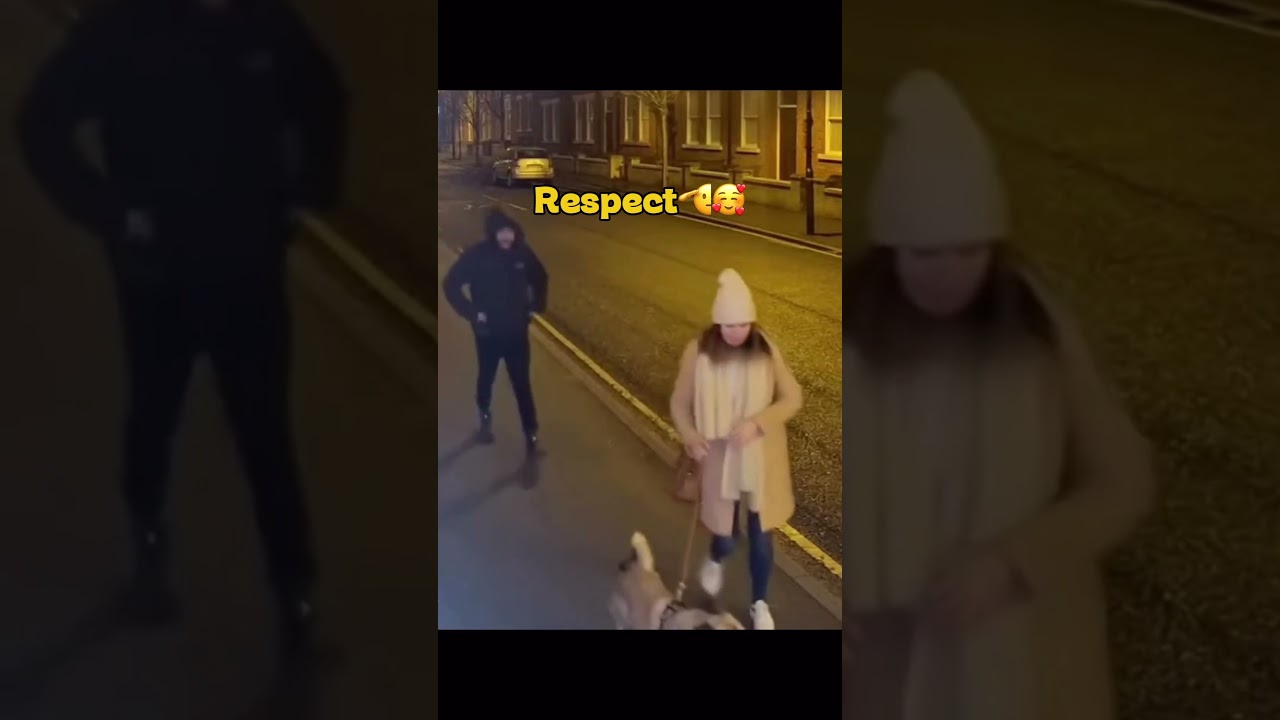 Times Dogs Proved They Have a Sixth Sense! ❤️🥰💥