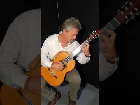 Hermann Hauser I 1938 (ex Andrés Segovia)