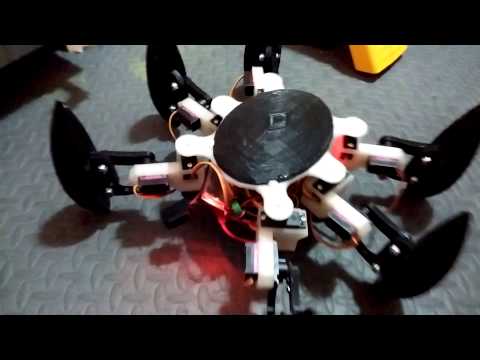 Servos tests with 3D printed hexapod.
