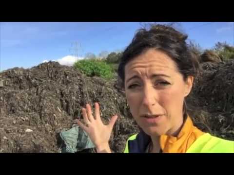 Why you shouldn't flush cotton buds down the loo