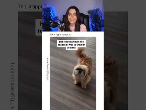 HER DOG IS EXCITED TO GO OUTSIDE 😭