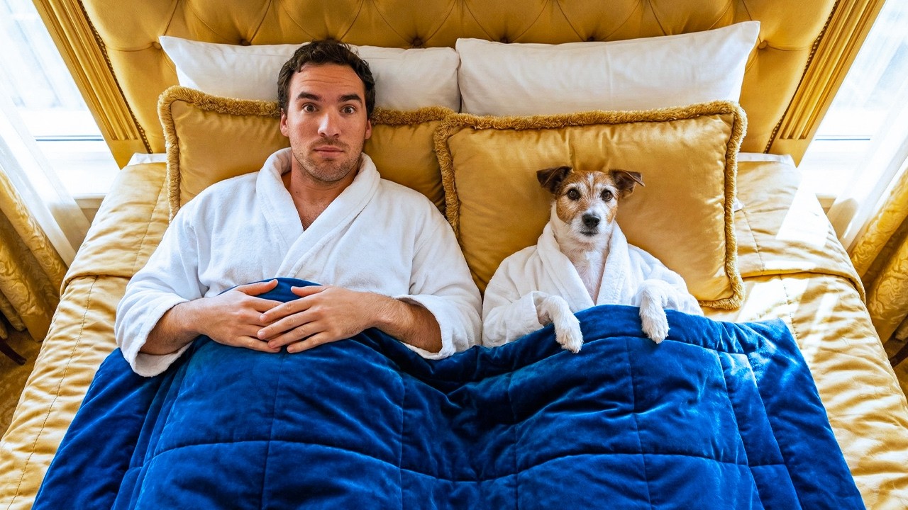 I Tested 5-Star Hotels Made for Dogs