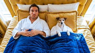 I Tested 5-Star Hotels Made for Dogs MQDEFAULT Thumbnail