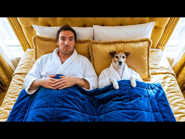 I Tested 5-Star Hotels Made for Dogs SDDEFAULT Thumbnail
