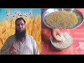 Samnak, Angori recipe for sohan Halwa ,How to make Wheat Sprout Flour For Sohan Halwa |سمنک ، انگوری