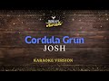 Cordula Grün - Josh (Karaoke Version)