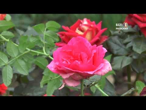 Живи, цвети, село родное!