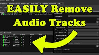 How to Remove Audio Track From Video With Multiple Audios | How to Separate Audio Track From Video