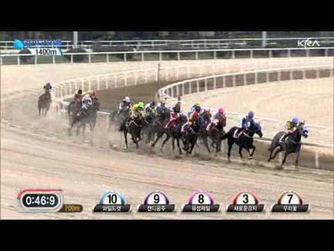 2011 The Governor of Gyeonggi Province Cup - Seungniuihamseong