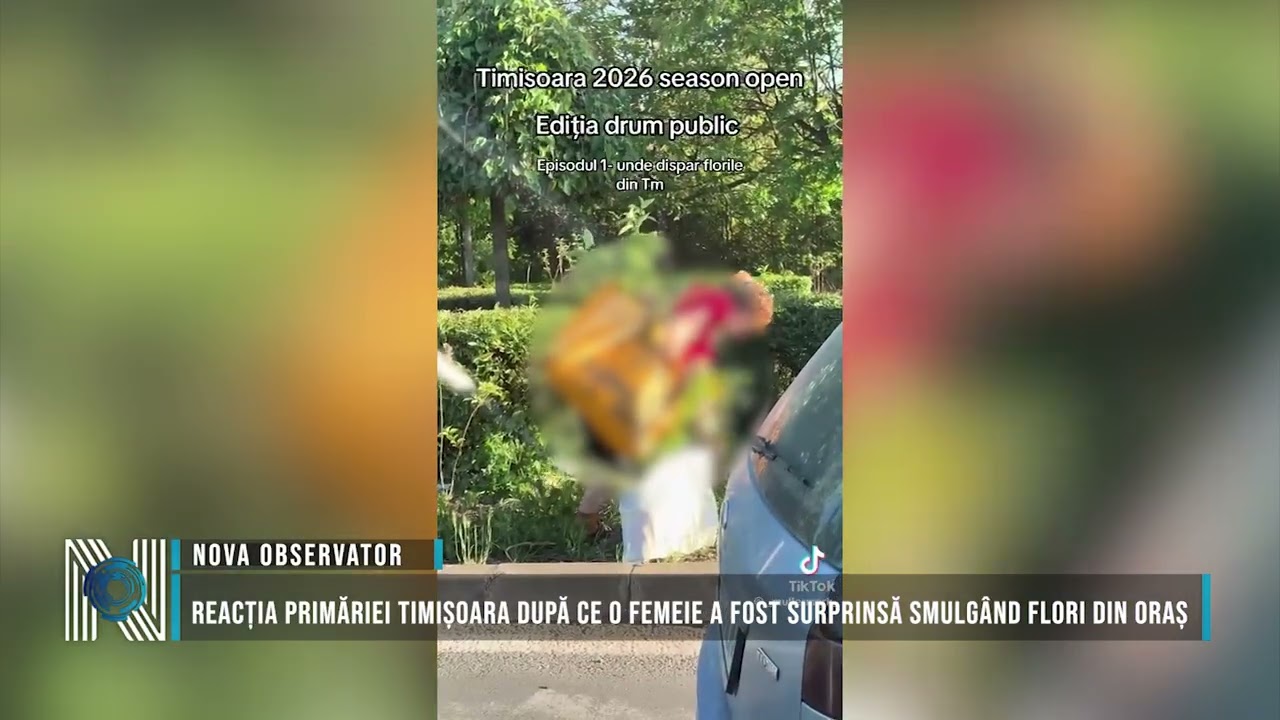 Reacția Primăriei Timișoara după ce o femeie a fost surprinsă smulgând flori din oraș