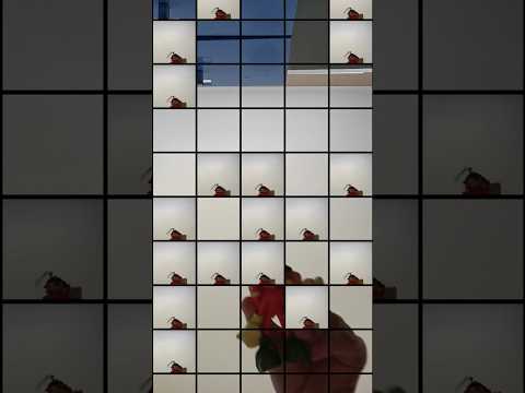 4 августа 2024 г.