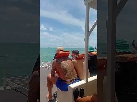 porque não é  muito bom o passeio de Catamarã?  vicia #catamarans #maragogi #alagoas