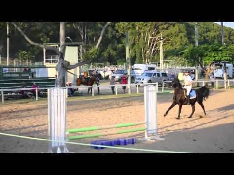 MFAC Interschool Showjumping Challenge 2013 - Poede Black Knight AM7
