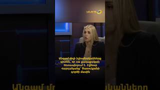 Անգամ մոլի իշխանականները գիտեն` սա քաղաքական հետապնդում է. Էլինար Վարդանյանը՝ Ծառուկյանի գործի մասին
