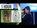 Ruth Bennett, playing the harp, music found on the Tilma on Our Lady of Gaudalupe 1 Hour