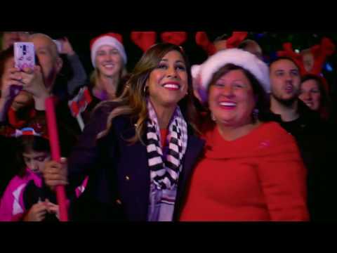 DeSario Family Light Show - The Great Christmas Light Fight Season 4