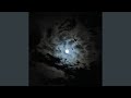 Wonder (feat. Coughdrop)