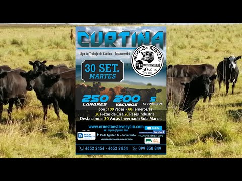 Remata Ernesto Esteves y Cia - Local Liga del Trabajo de Curtina - 30 de Setiembre de 2025