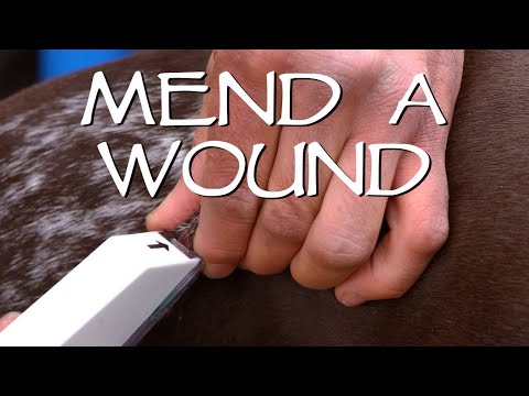 YouTube video about: How much are dog stitches?
