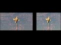 Hybrid 60FPS Conversion Vs Native 60FPS