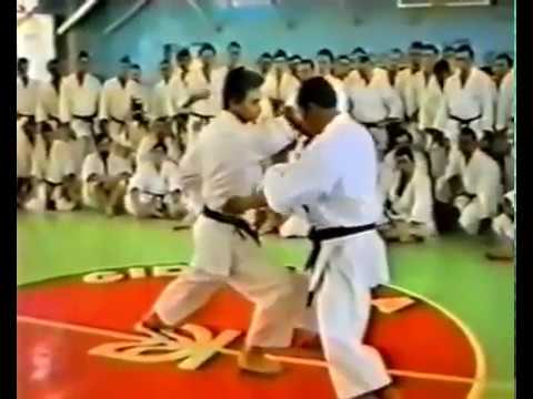 Hiroshi Shirai Sensei Teach Bunkai Of Kata Empi